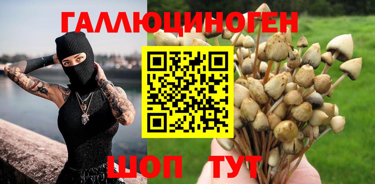 Канаш  Псилоцибиновые грибы Psilocybe  Вход с VPN 