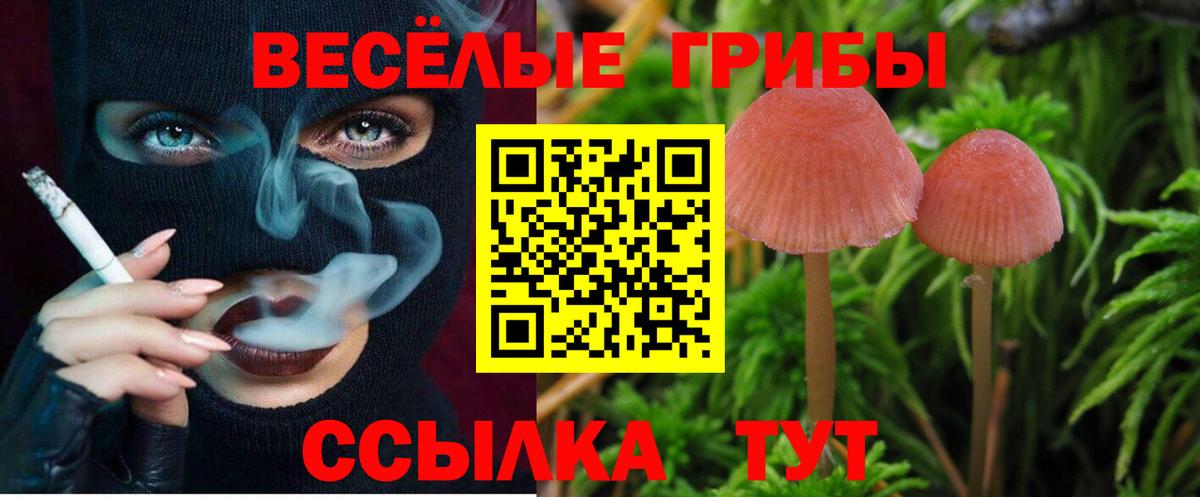 Галлюциногенные грибы ЛСД Канаш