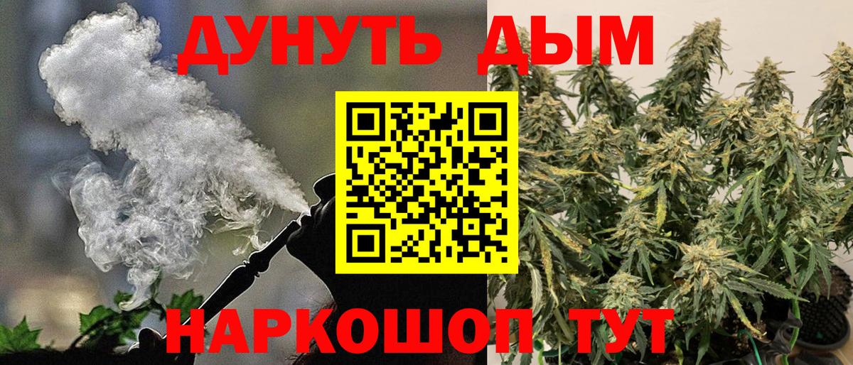Бошки марихуана марихуана  Канабис индика  Вход с VPN  Канаш 